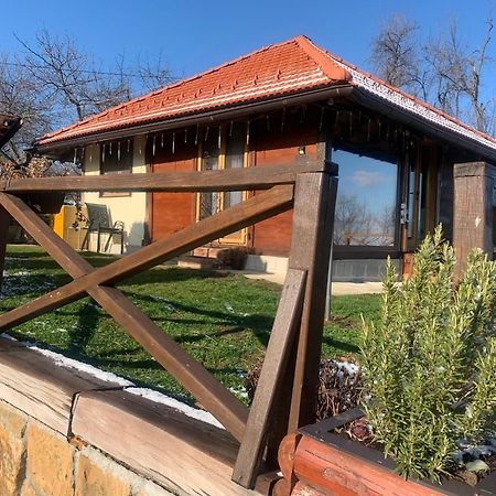 Apartmani Lunija Горні-Мілановац Екстер'єр фото