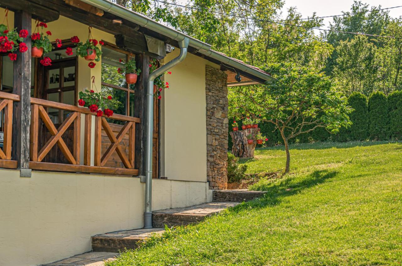 Apartmani Lunija Горні-Мілановац Екстер'єр фото