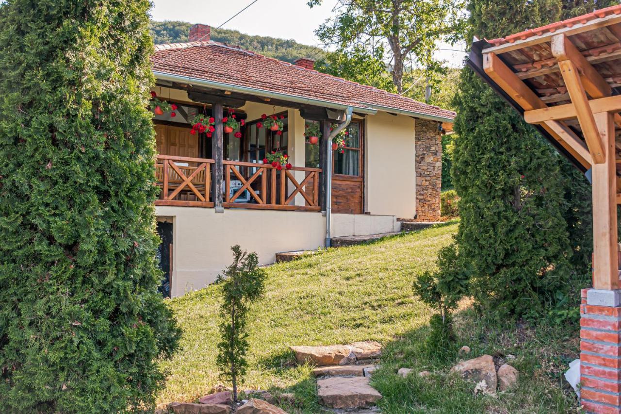 Apartmani Lunija Горні-Мілановац Екстер'єр фото